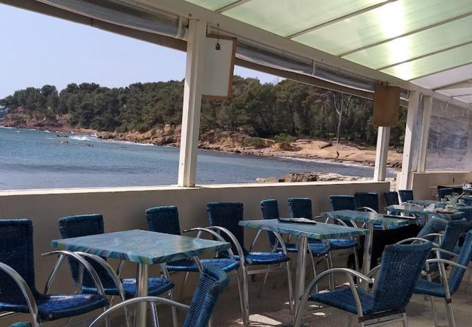 Petit Paradis Classe 3 Etoiles A 200M De La Plage! Terrasse-Wifi-Parking-Clim Saint-Mandrier-sur-Mer Exterior foto